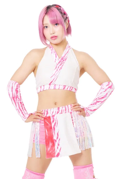 虎龍清花